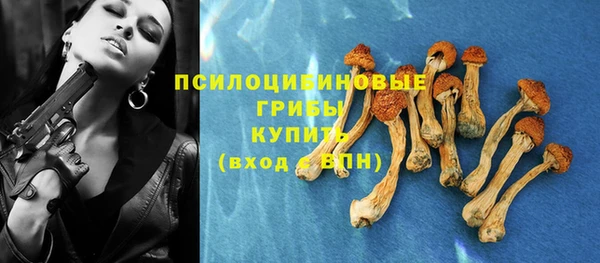 прущая мука Новодвинск