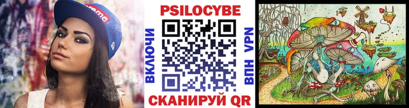 Галлюциногенные грибы Cubensis  Чадан 